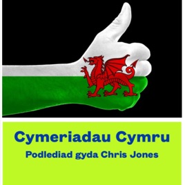 CYMERIADAU CYMRU