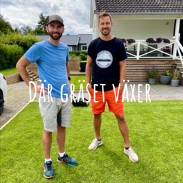 Där gräset växer