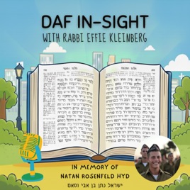 Daf In-Sight