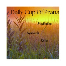 Daily cup of Prana “ Guided Meditations & Inspiration