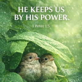 Daily Scripture and Prayers