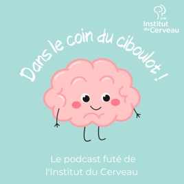 Dans le coin du ciboulot !