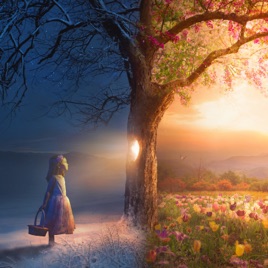 Daughters of Promise
