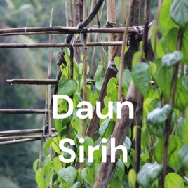 Daun Sirih