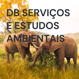 DB SERVIÇOS E ESTUDOS AMBIENTAIS