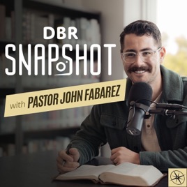 DBR Snapshot