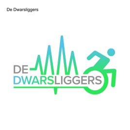 De Dwarsliggers
