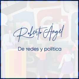 De redes y política