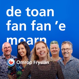 De toan fan fan 'e moarn