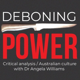 Deboning Power - Critical analysis by Dr Angela Williams