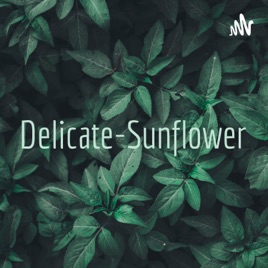 Delicate-Sunflower