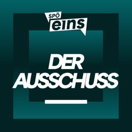 Der Ausschuss