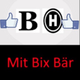 Der Bixhype