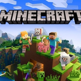 Brawlcraft