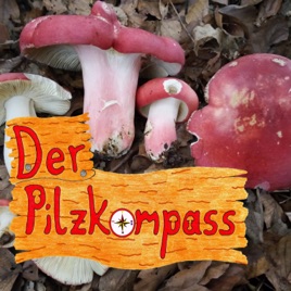 Der Pilzkompass