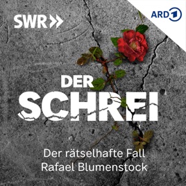 Der Schrei – Der rätselhafte Fall Rafael Blumenstock