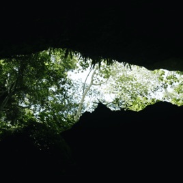 DESDE LA CUEVA