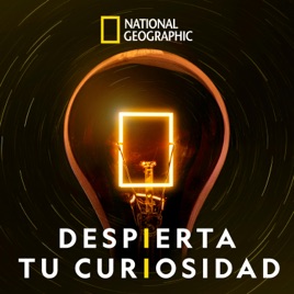 DESPIERTA TU CURIOSIDAD