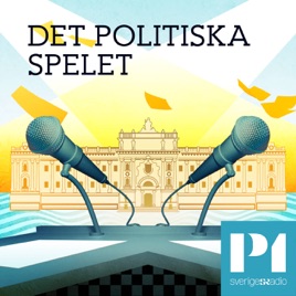 Det politiska spelet