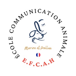 Dialogue Instinctif : le podcast pour tout savoir sur la communication animale