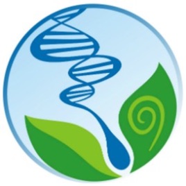 Dicas De Biologia Para O Enem