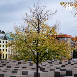 Die Erste