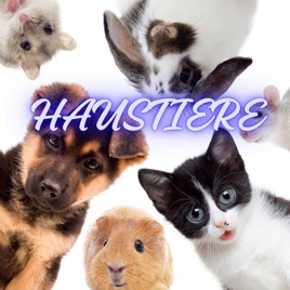 Die Haustier-Podkatze