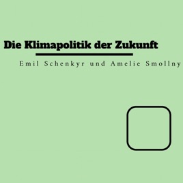 Die Klimapolitik der Zukunft