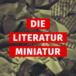 DIE LITERATUR MINIATUR
