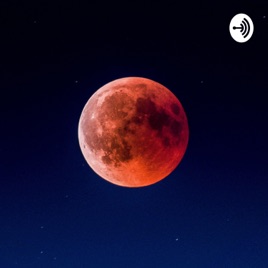 Die rasende Reporterin Luna 😱