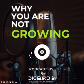 Digibird.in, Ask us