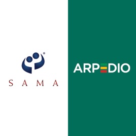 Digitizing strategic account management or complex B2B sales processes
