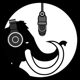 Discuțiile Echinox