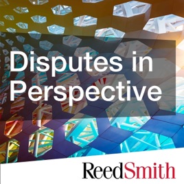 Disputes in Perspective