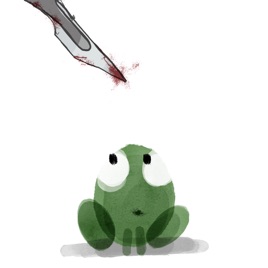 Dissecting the Frog