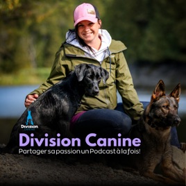 Division Canine | Partager sa passion du chien