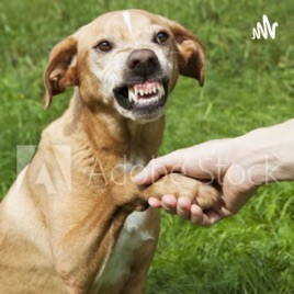 Dog Lovers