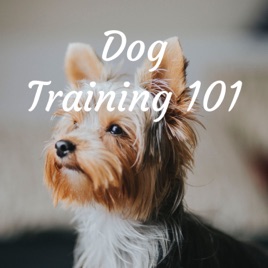 Dog Training 101