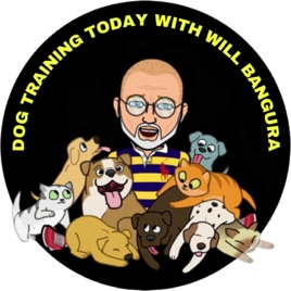 Dog Training Today with Will Bangura for Pet Parents, Kids & Family, Pets and Animals, and Dog Training Professionals. This i