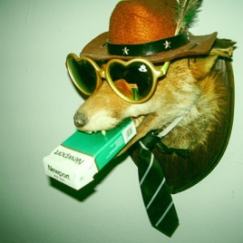 Dogecore Lore