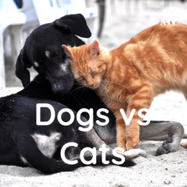 Dogs vs Cats
