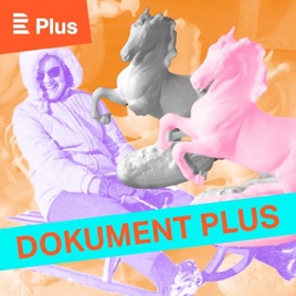 Dokument Plus