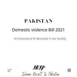 Domestic violence bill