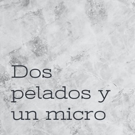 Dos pelados y un micro