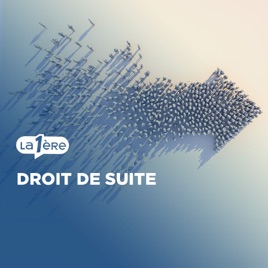 Droit de Suite