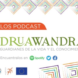 DRUA WANDRA