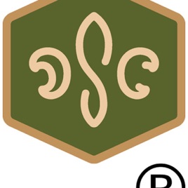 DSC: The Podcast