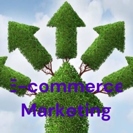 E-commerce Marketing