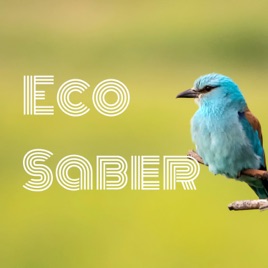 Eco Saber