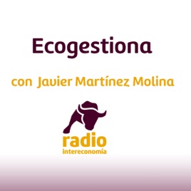 Ecogestiona